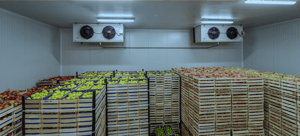 Image of fruit in temperature controlled room for blog on cold chain outsourcing